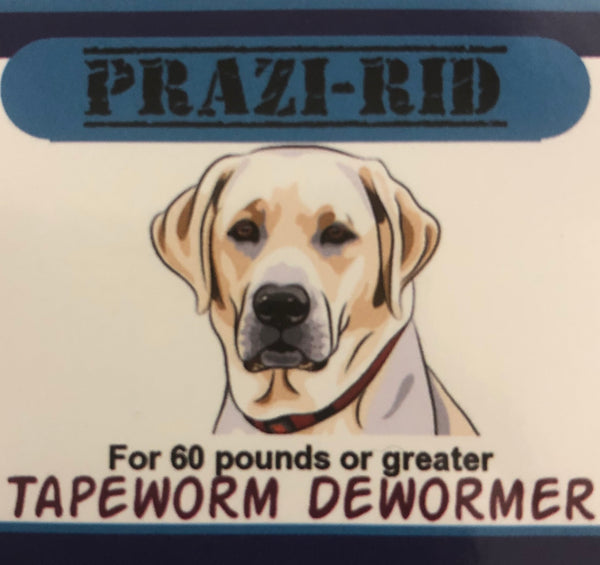 Tapeworm Dewormer for 60 pounds or greater - 170mg Praziquantel